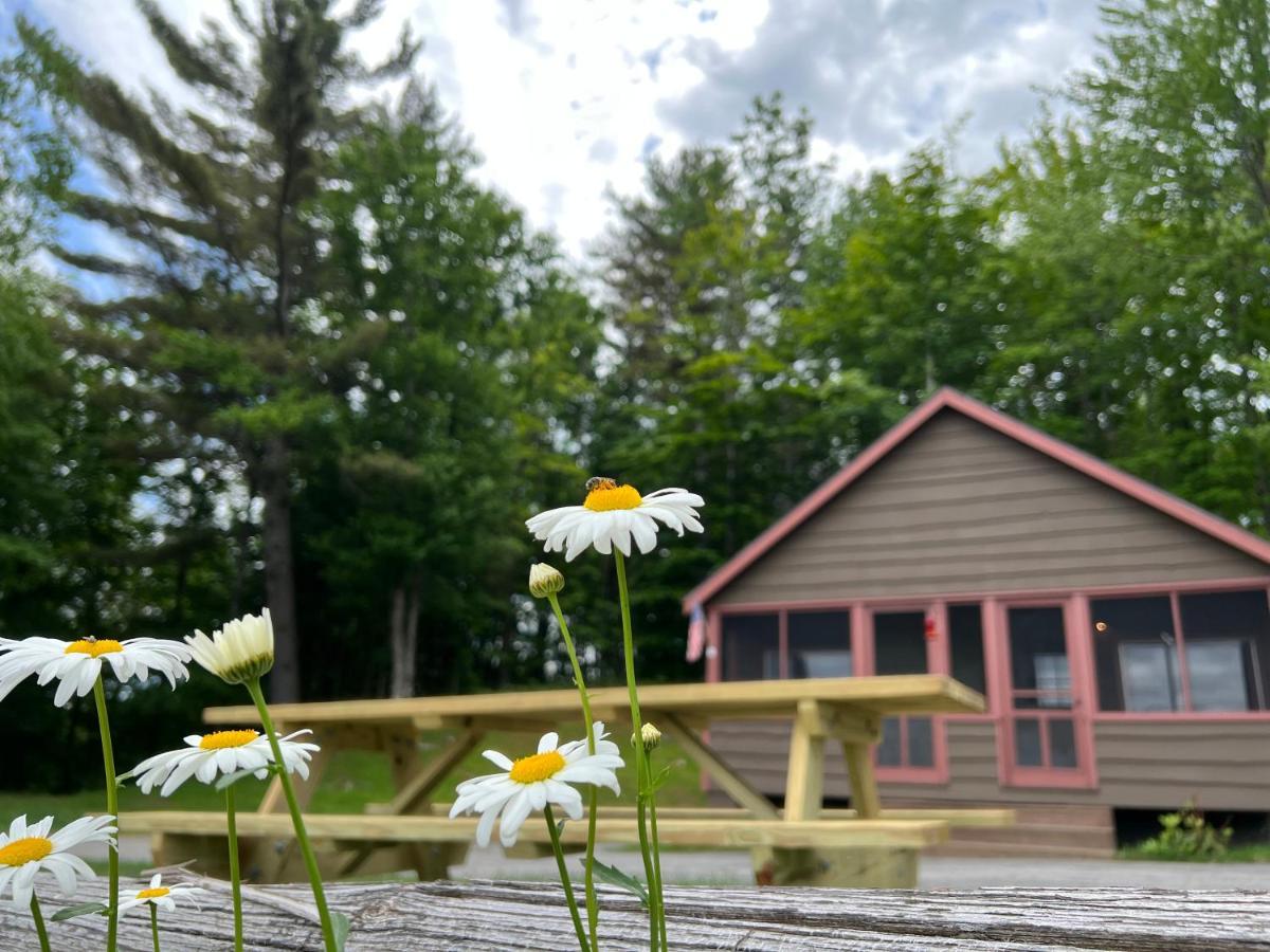 Adirondack Lake Cabins Hotel Indian Lake Екстериор снимка
